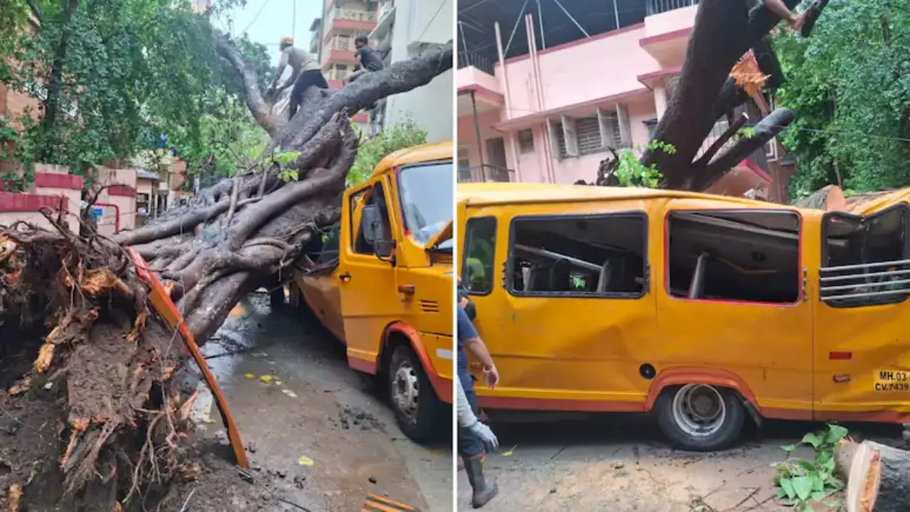 Mumbai Chembur Tree Falls on School Bus: चेंबूर में बारिश के बीच स्कूल बस पर गिरा विशाल पेड़, अंदर फंसे मासूम, मच गई चीख-पुकार — जानें रेस्क्यू ऑपरेशन का पूरा सच और लेटेस्ट अपडेट